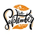 Hello September hand drawn vector lettering. Autumn phrase.