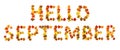 Hello September lettering text from of colorful autumnal maple leaves on white background. Top view, flat lay Royalty Free Stock Photo