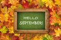 Hello September Maple leaves chalkboard Autumn background Royalty Free Stock Photo