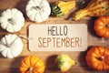 Hello September message with collection of pumpkins Royalty Free Stock Photo