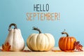 Hello September message with pumpkins Royalty Free Stock Photo