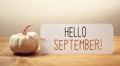 Hello September message with a small pumpkin Royalty Free Stock Photo