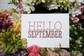 Hello September text message on paper card with beautiful flowers decoration Royalty Free Stock Photo