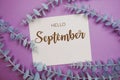 Hello September typography text on paper card decorate with eucalyptus on purple background Royalty Free Stock Photo