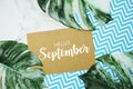 Hello September typography text on paper card with Monstera leaves Royalty Free Stock Photo
