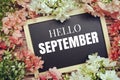 Hello September typography text written on wooden blackboard with flower bouquet decorate on wooden background Royalty Free Stock Photo