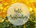 Hello September.Yellow and green maple leaves background with text.Fall season concept. Royalty Free Stock Photo
