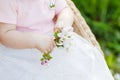 Hello spring, april. Blooming white apple tree in hands of girl, close-up, outdoor