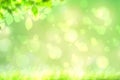 Hello spring background. Abstract bright spring or summer landscape texture with natural green yellow bokeh lights sun, flowers Royalty Free Stock Photo