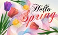 Hello Spring background with beautiful tulips. Can be used for template, banners, wallpaper, flyers, invitation, posters, brochure Royalty Free Stock Photo