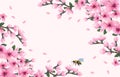 hello spring background with cheery blossom flowers Royalty Free Stock Photo