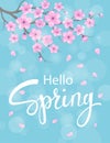 Hello spring background with cherry blossoms flowers