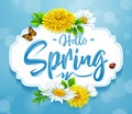 Hello Spring background with flower, ladybug, and butterfly on blue sky background Royalty Free Stock Photo