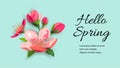 Hello spring banner with blossom sakura, cherry flowers