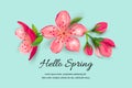 Hello spring banner with blossom sakura