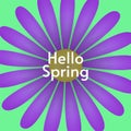 Hello Spring banner, greeting card. Bright flat design with violet beautiful flower on green background Royalty Free Stock Photo