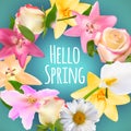 Hello Spring Banner Greetings Design Background with Colorful Flower Elements. Vector illustration Royalty Free Stock Photo