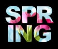 Hello Spring Banner Greetings Design  Background with Colorful Flower Elements. Vector illustration Royalty Free Stock Photo