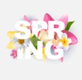 Hello Spring Banner Greetings Design  Background with Colorful Flower Elements. Vector illustration Royalty Free Stock Photo