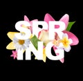 Hello Spring Banner Greetings Design  Background with Colorful Flower Elements. Vector illustration Royalty Free Stock Photo