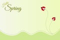Hello Spring banner with Ladybug ,simple green vector illustration background Royalty Free Stock Photo
