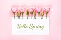 Hello spring banner. Pink Eustoma flowers arrangement with blank card on light pink background Royalty Free Stock Photo