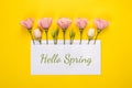 Hello spring banner. Pink Eustoma flowers arrangement with blank card on yellow background Royalty Free Stock Photo