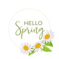 Hello spring. Beautiful Daisy wreath isolated. Elegant floral chamomile flowers collection. Frame, text Royalty Free Stock Photo
