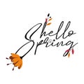 Hello spring. A black handwritten Hello spring. with spring flowers and leaves. Vector illustration isolated on a white background Royalty Free Stock Photo