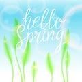 Hello Spring, bright bird feathers on a white background. Royalty Free Stock Photo