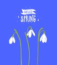 Hello spring calligraphy inscription with white snowdrop flowers. Floral illustration with modern text