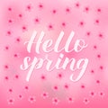 Hello spring calligraphy lettering on gradient pink background with cherry blossom. Inspirational season quote typography poster. Royalty Free Stock Photo