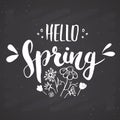 Hello Spring Calligraphy lettering handwritten sign, Hand drawn grunge calligraphic text. Vector illustration on chalkboard