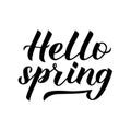 Hello spring calligraphy lettering isolated on white. Inspirational seasonal quote typography poster. Hand written logo design. Royalty Free Stock Photo