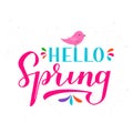 Hello spring calligraphy lettering isolated on white. Inspirational seasonal quote typography poster. Handwritten logo design. Royalty Free Stock Photo