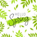 Hello spring. Calligraphy and lettering