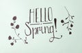 Hello spring calligraphy note