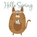 Hello Spring calligraphy text, with cute brown cat.
