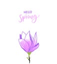 Hello spring calligraphy text and hand drawn magnolia flower