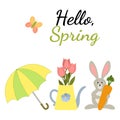 Hello Spring card vector illustration with tulips in a watering can, a hare with a carrot, a butterfly and an umbrella Royalty Free Stock Photo