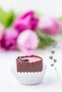 Hello Spring concept. Inscription, text, words. Chocolate candy and pink tulips on a white background