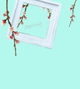 Hello spring concept. Wooden frame and branches of blossoming apricots on a green background.