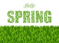 Hello, SPRING. Decorative Font made of swirls and floral elements. Background made of grass