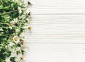 Hello spring flat lay. beautiful daisy flowers with greenery on Royalty Free Stock Photo