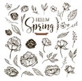 Hello Spring floral design elements
