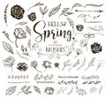 Hello Spring floral design elements