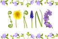 Hello spring.Floral letters and green grass in a flower frame isolated on white background . Spring banner. Floral Royalty Free Stock Photo