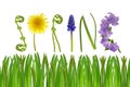 Hello spring.Floral letters and green grass isolated on white background . Spring banner. Floral alphabet. Spring time