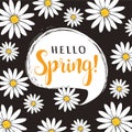 Hello Spring floral vector poster. Royalty Free Stock Photo