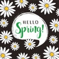 Hello Spring floral vector poster. Royalty Free Stock Photo